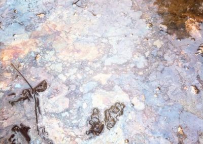 Dardenne Creek Monitoring