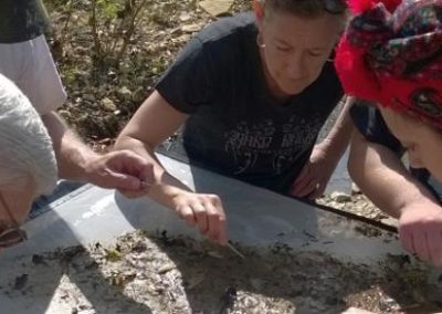 Volunteers on Dardenne Creek Monitoring Day