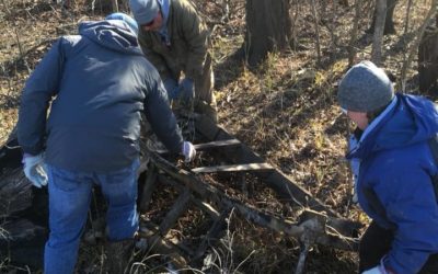 Mission: Clean Stream