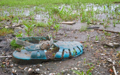 Mississippi River Plastic Pollution Initiative