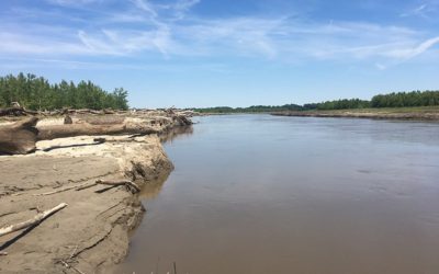 MLK Day of Service Cora Island Clean Up in Honor of Greg Poleski
